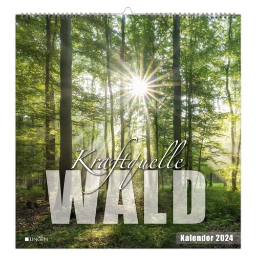 Dekokalender 2024 – Kraftquelle Wald
