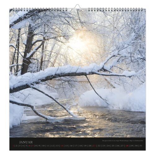 Eine verschneite Waldszene im Januar mit Sonnenlicht, das durch die Bäume strömt, und einem fließenden Fluss.