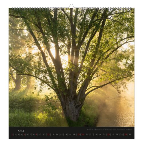 Sonnenlicht fällt durch einen großen Baum an einem nebligen Flussufer, Kalenderseite für Mai.