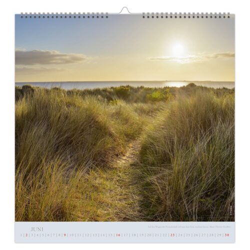 Sonnenuntergang über einem grasbewachsenen Dünenpfad, der zum Meer führt, mit goldenem Licht und klarem Himmel. Kalenderseite für Juni.