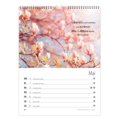 Ein Kalender mit einem Foto blühender Magnolien und einem poetischen Zitat für den Monat Mai.