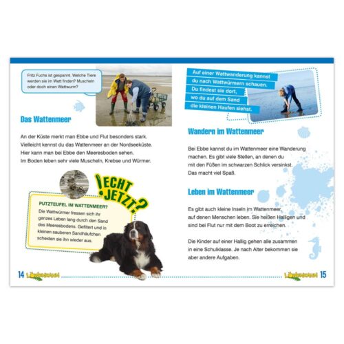 Eine Kinderbuchseite über das Wattenmeer mit Abbildungen von Menschen, einem Hund und deutschem Text.