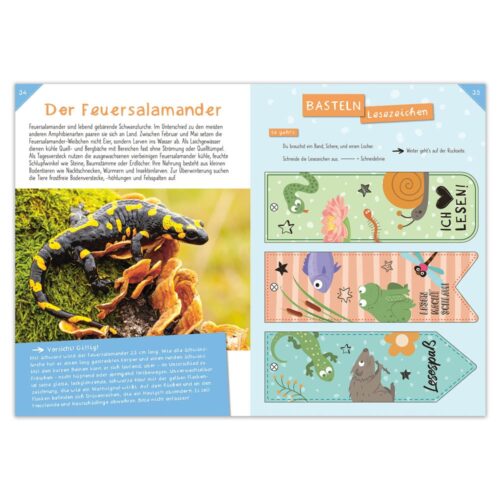 Activity Heft: Wasser Marsch – Heimische Gewässer entdecken