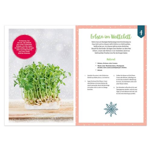 Adventskalenderbuch: 24 kreative Momente