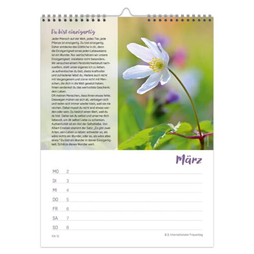 Wochenkalender Achtsamkeit 2026 – Woche für Woche Momente für mich