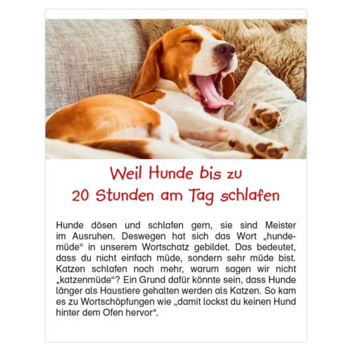 Abreißkalender – Kinderwissen 2026