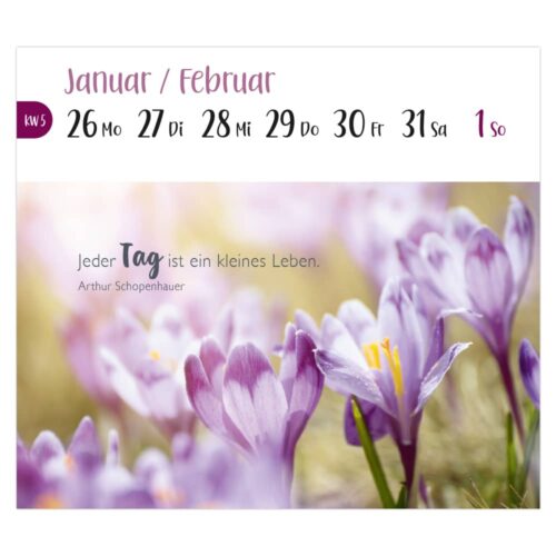Postkartenkalender 2026 – Viele kleine Herzmomente