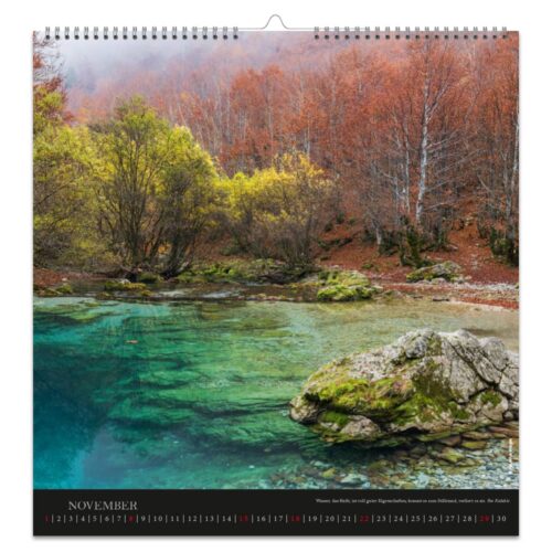 Dekokalender 2026 – Kraftquelle Wald