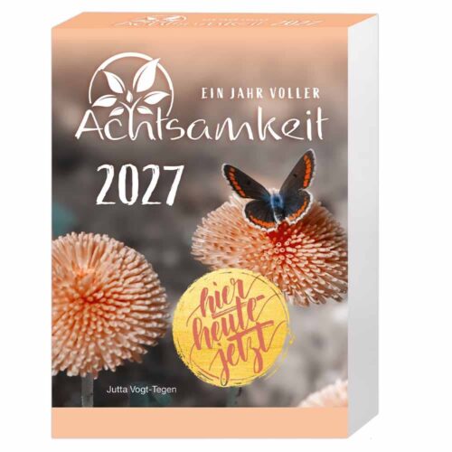 Ein Jahr voller Achtsamkeit Abreißkalender 2027 - Abreißkalender 2027 mit täglichen Impulsen & Mantras
