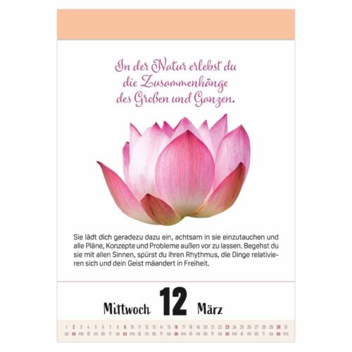 Ein Jahr voller Achtsamkeit Abreißkalender 2027 – Abreißkalender 2027 mit täglichen Impulsen & Mantras